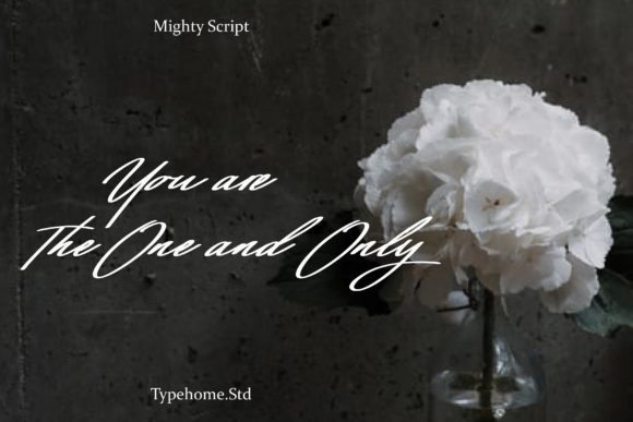 Mighty Script Font Poster 8