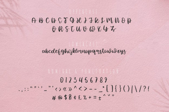 Mochi Font Poster 2