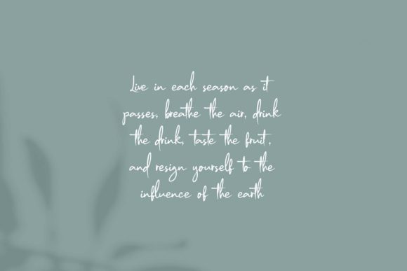 Modien Font Poster 2