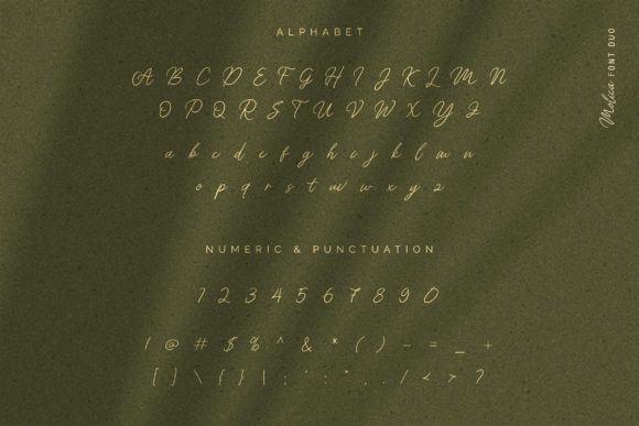 Molica Duo Font Poster 6