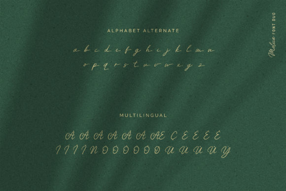 Molica Duo Font Poster 7