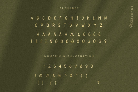 Molica Duo Font Poster 8