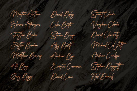Monoline Signature Font Poster 11