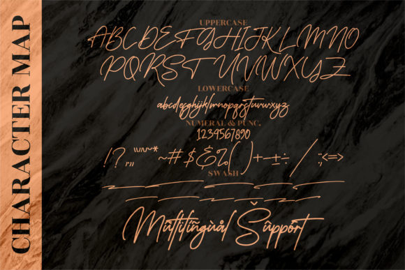 Monoline Signature Font Poster 14