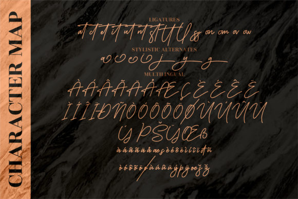 Monoline Signature Font Poster 15
