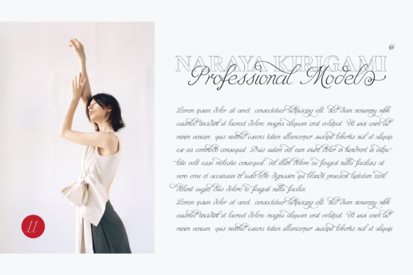 Naraya Kirigami Font Poster 9