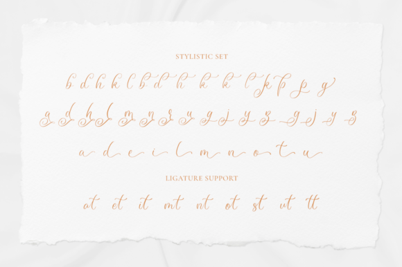 Narliana Font Poster 11
