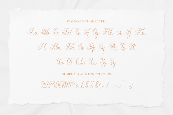 Narliana Font Poster 9
