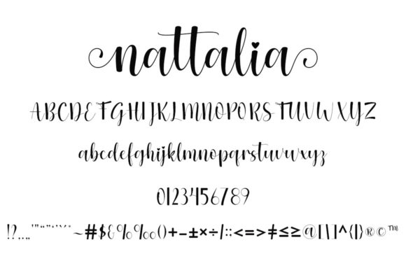 Nattalia Font Poster 5