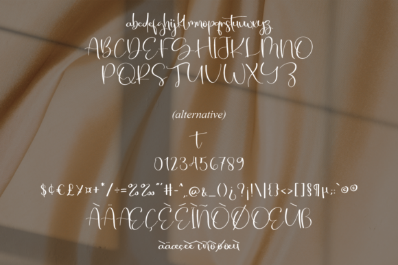 Natural Signature Font Poster 5