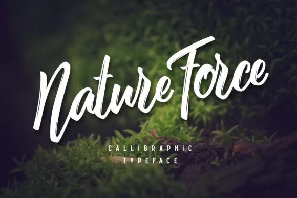 Nature Force Font Nature Force Font Poster 1