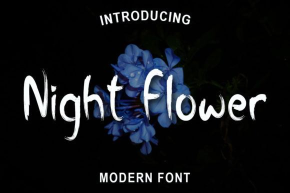 Night Flower Font