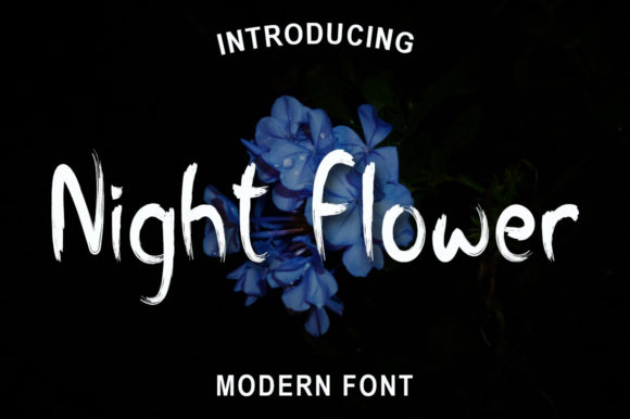 Night Flower Font