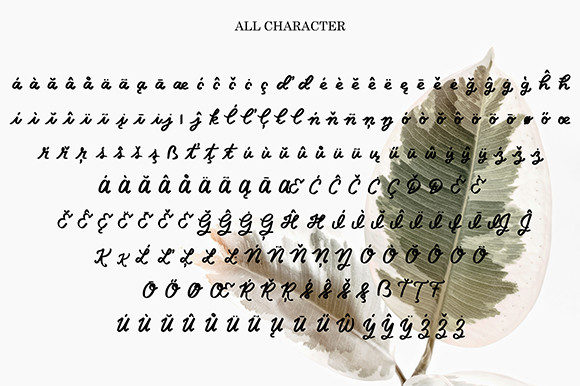 Nikola Font Poster 4