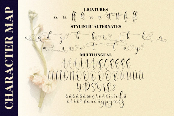 Olivianta Pettcia Font Poster 11