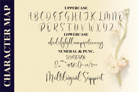 Olivianta Pettcia Font Poster 10