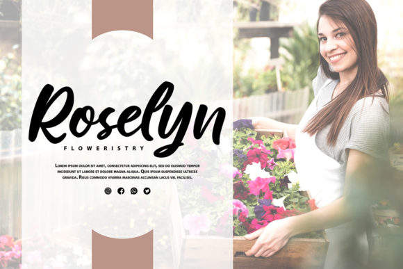 Ollivia Font Poster 5