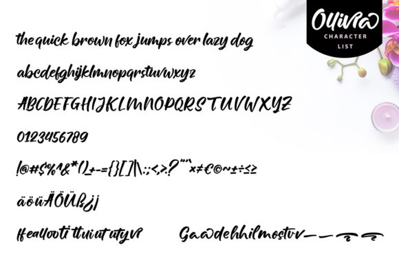 Ollivia Font Poster 6