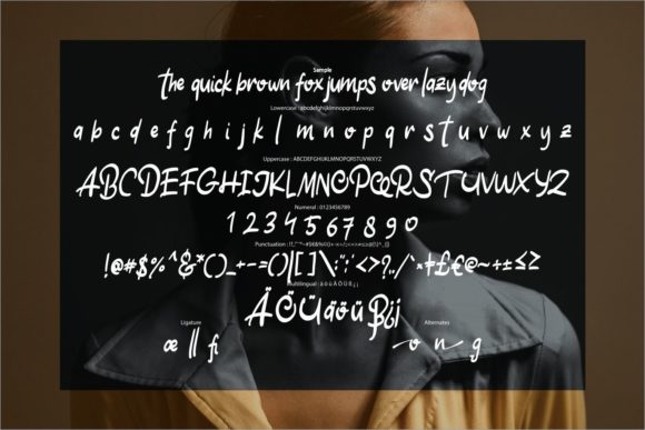 Oston Font Poster 6