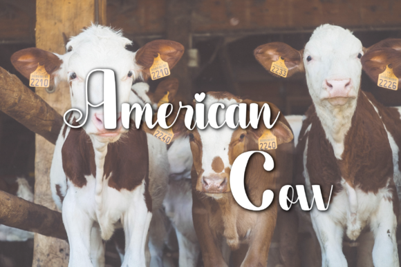 Our Farmhouse Font Poster 3