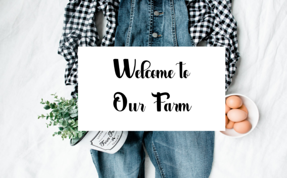 Our Farmhouse Font Poster 6
