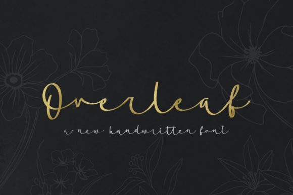 Overleaf Script Font