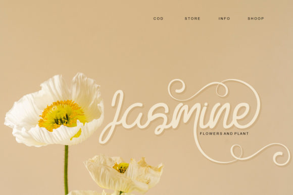 Pamela Ambre Font Poster 2