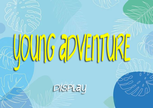 Paradoks Font Poster 3