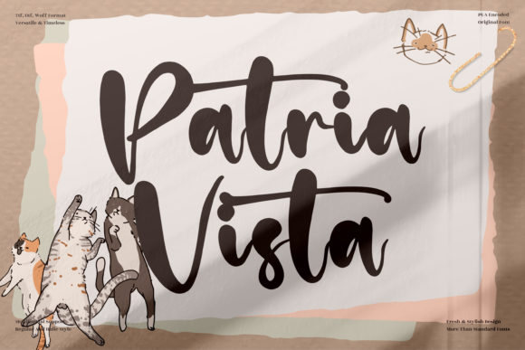 Patria Vista Font Poster 1