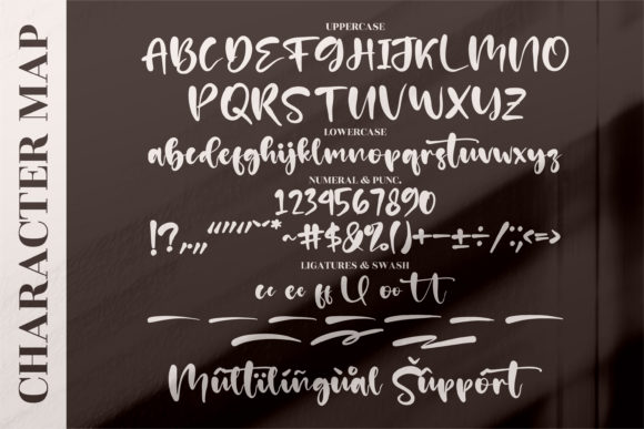 Patria Vista Font Poster 13