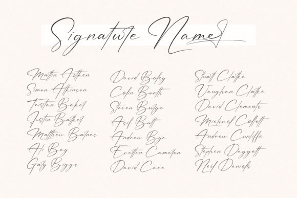 Patricia Signature Font Poster 2