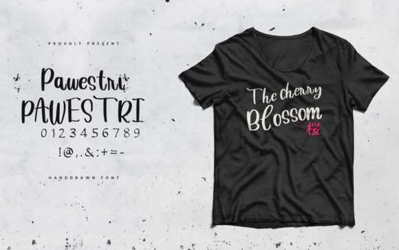 Pawestri Font Poster 6