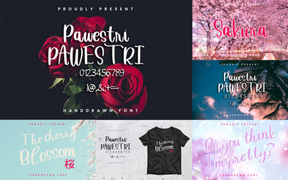 Pawestri Font Poster 7