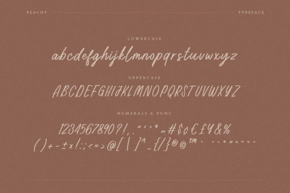 Peachy Script Font Poster 8
