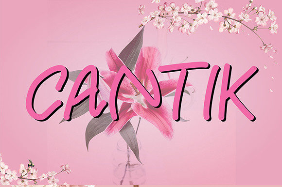 Pelangi Font Poster 4
