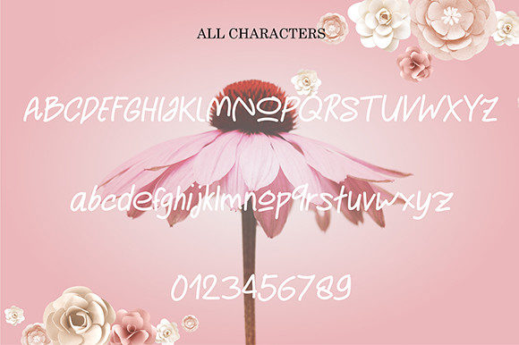 Pelangi Font Poster 5