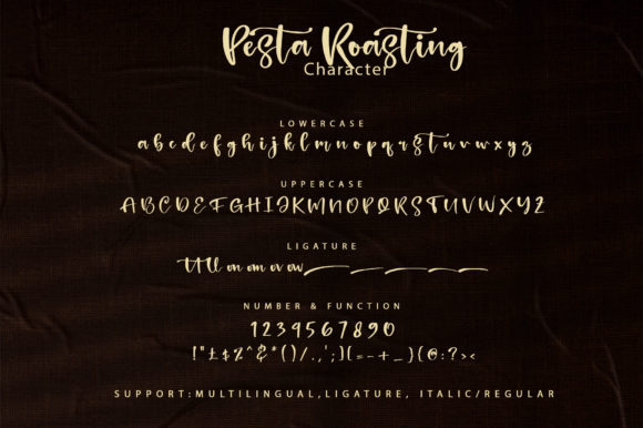 Pesta Roasting Font Poster 8