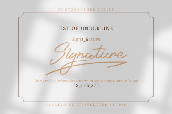 Photographer Script Font Poster 5