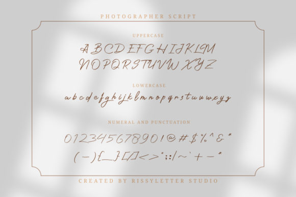 Photographer Script Font Poster 9