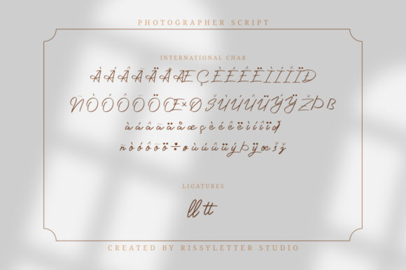 Photographer Script Font Poster 10