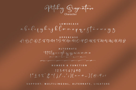 Pitchy Signature Font Poster 8