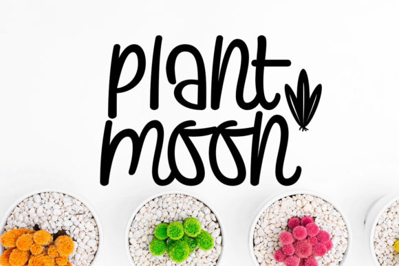 Plants and Moon Font