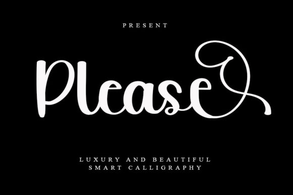 Please Font Poster 1