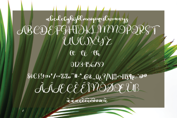 Prestige Font Poster 5