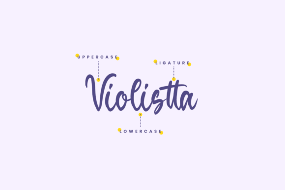Priscilla Font Poster 9