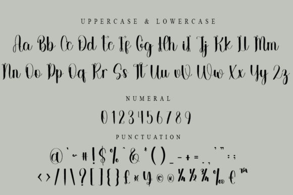 Private Font Poster 4