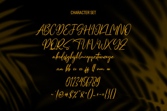 Queensytrix Signature Script Font Poster 8