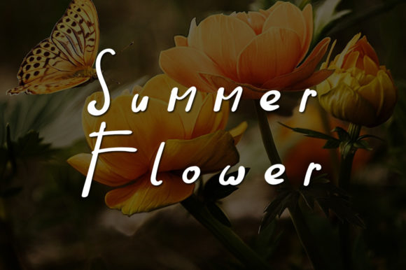 Quick Butterfly Font Poster 2