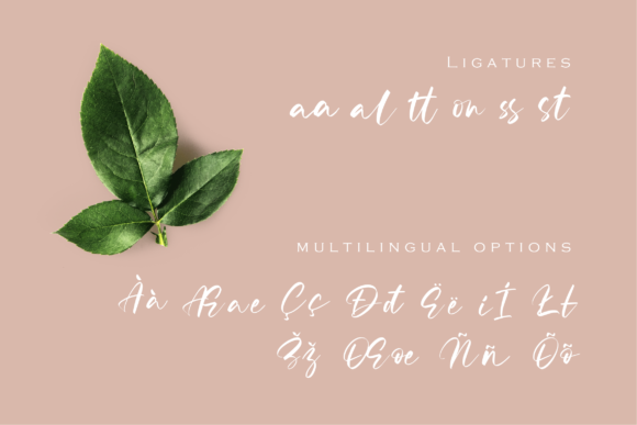 Radella Font Poster 3