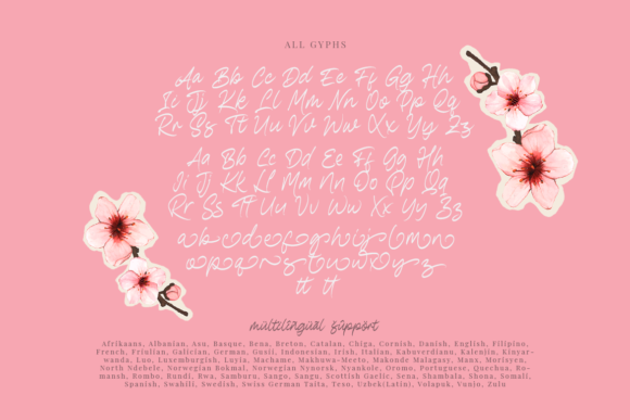 Raigatta Script Font Poster 11